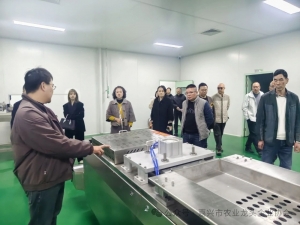 【考察交流】嘉興市農業龍頭企業協會組織企業赴南潯順翼農業考察鵪鶉養殖基地